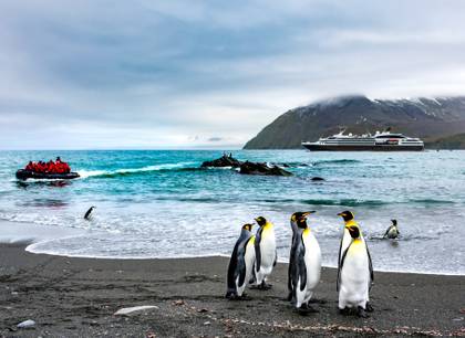 polar expeditions tours and trips to antarctica