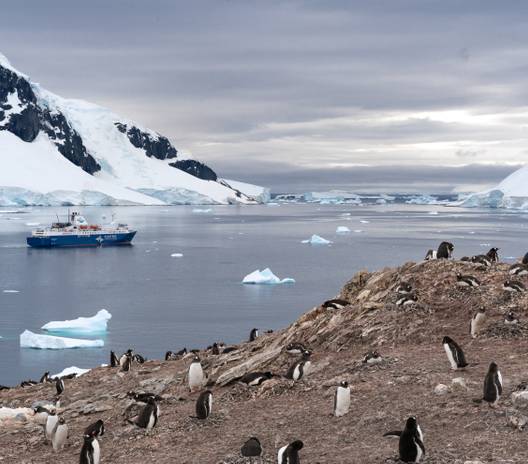 Top Polar Tours & Arctic Cruises - Biggest Selection, Best Prices ...