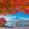 Mount Fuji in fall colors
