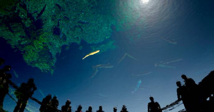 A pond in Oshino Hakkai village
