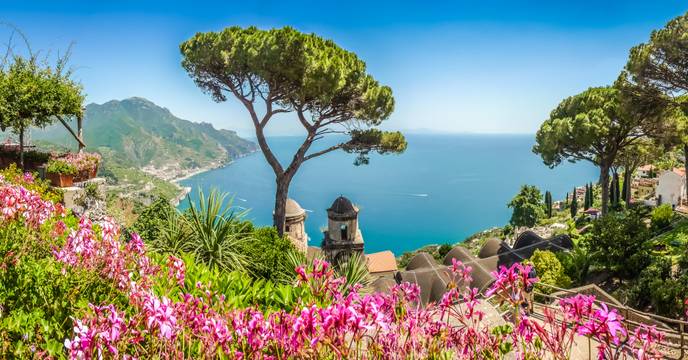 Blooming flowers along the Amalfi Coast