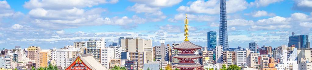 Skyline view of a Japanese city