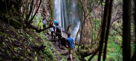 People hiking in the Amazon Rainforest