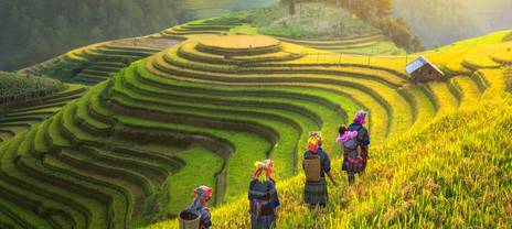Locals walking along the terraced rice fields
