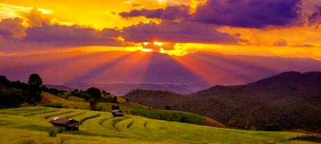 Purple and orange skies over terraced rice fields