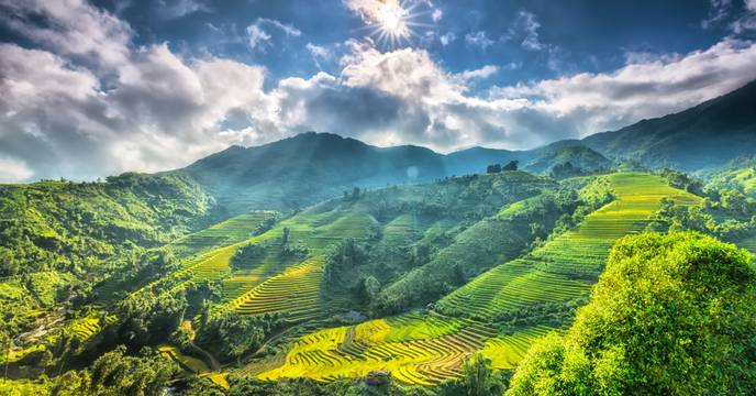 Rolling hills and terraced rice fields