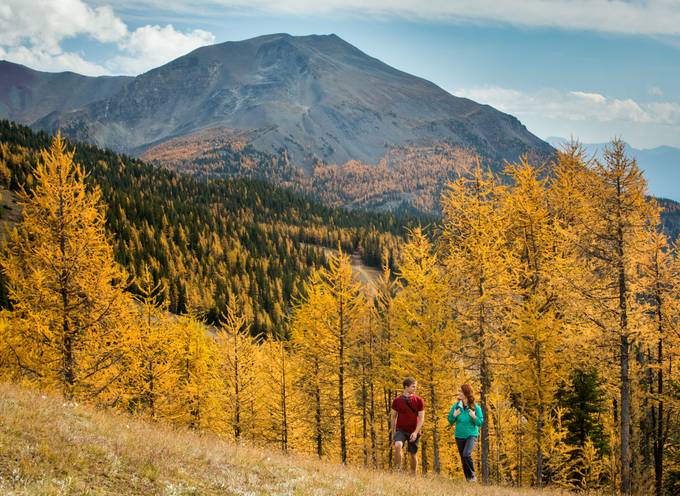 Hiking in Banff National Park