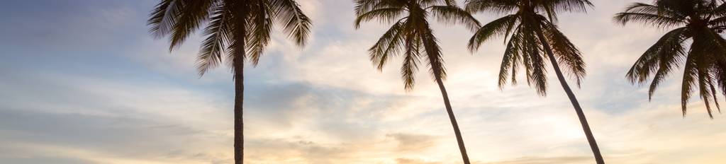 Beach in Costa Rica