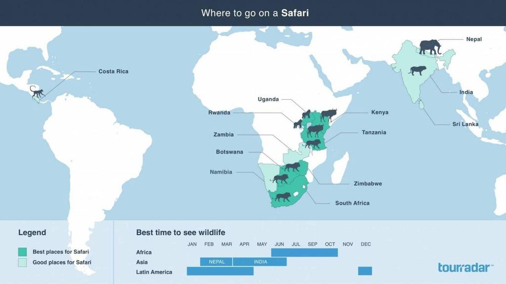 Die besten Orte der Welt für eine Safari