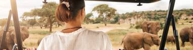 A woman on a jeep safari in Africa gazing out to a pack of Elephants in Chobe National Park