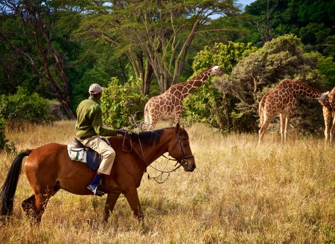 Safaris auf Pferden