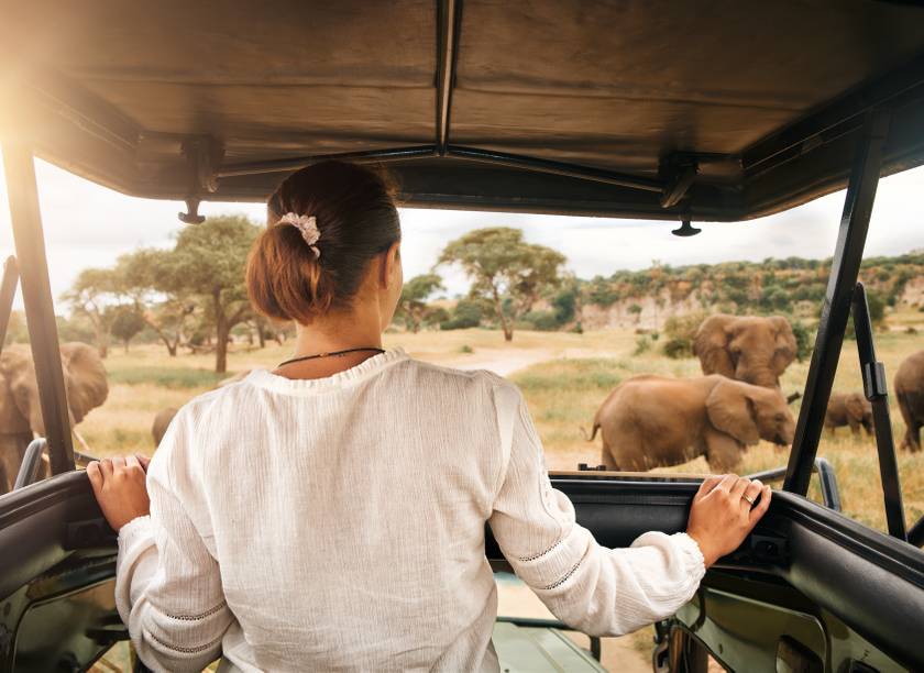 Eine Frau auf einem Safari-Jeep in Afrika blickt auf eine Elefantenherde im Chobe-Nationalpark