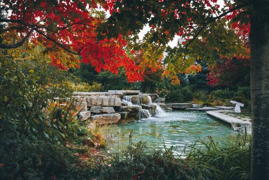 Canadian nature in fall