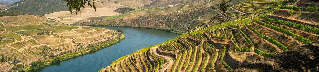 Douro