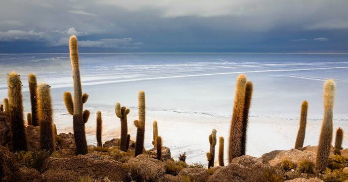 Uyuni Saltflats