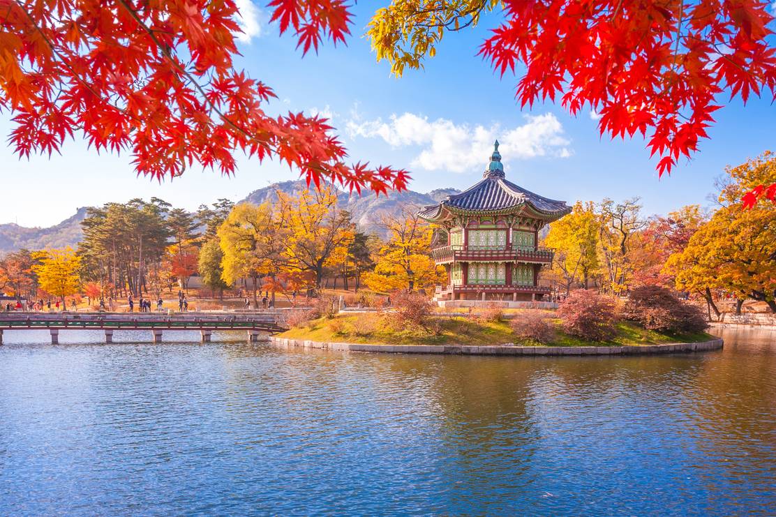 What is the best time to visit South Korea in 2025/2026? TourRadar