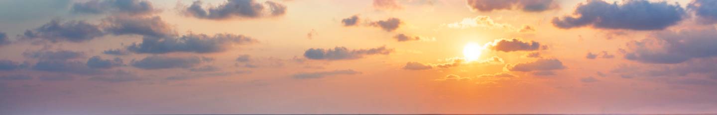  Weather in Sri Lanka in 2025/2026 - TourRadar Illustration 