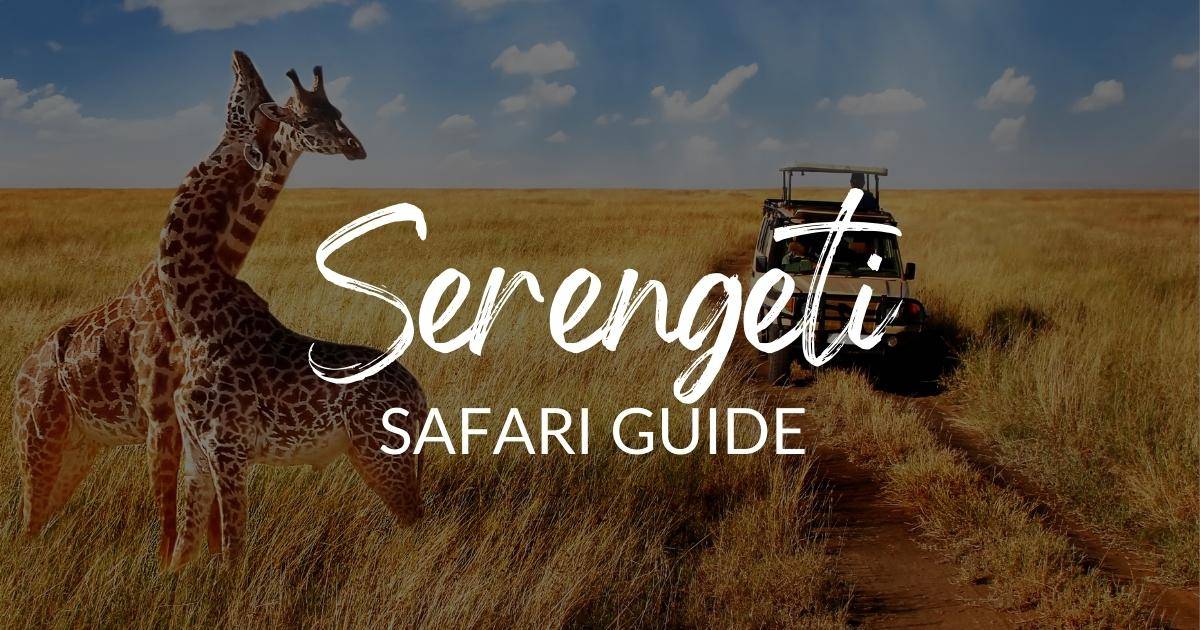 Serengeti Facts: 6 Things Not to Miss Before Visiting 2022 - TourRadar