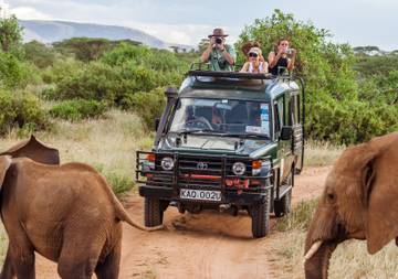 Elephants on a safari in Tanzania.