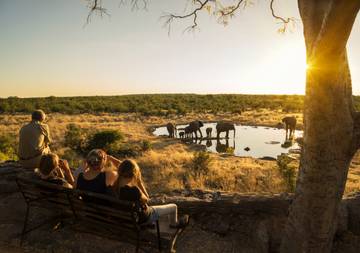 Elefantes al atardecer durante un safari en Zimbabue.