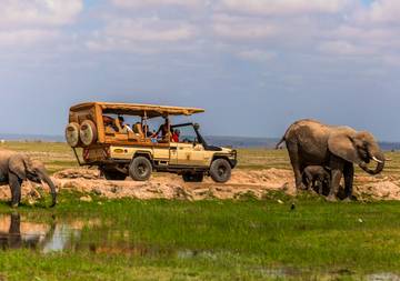 Safari en jeep en Tanzania.