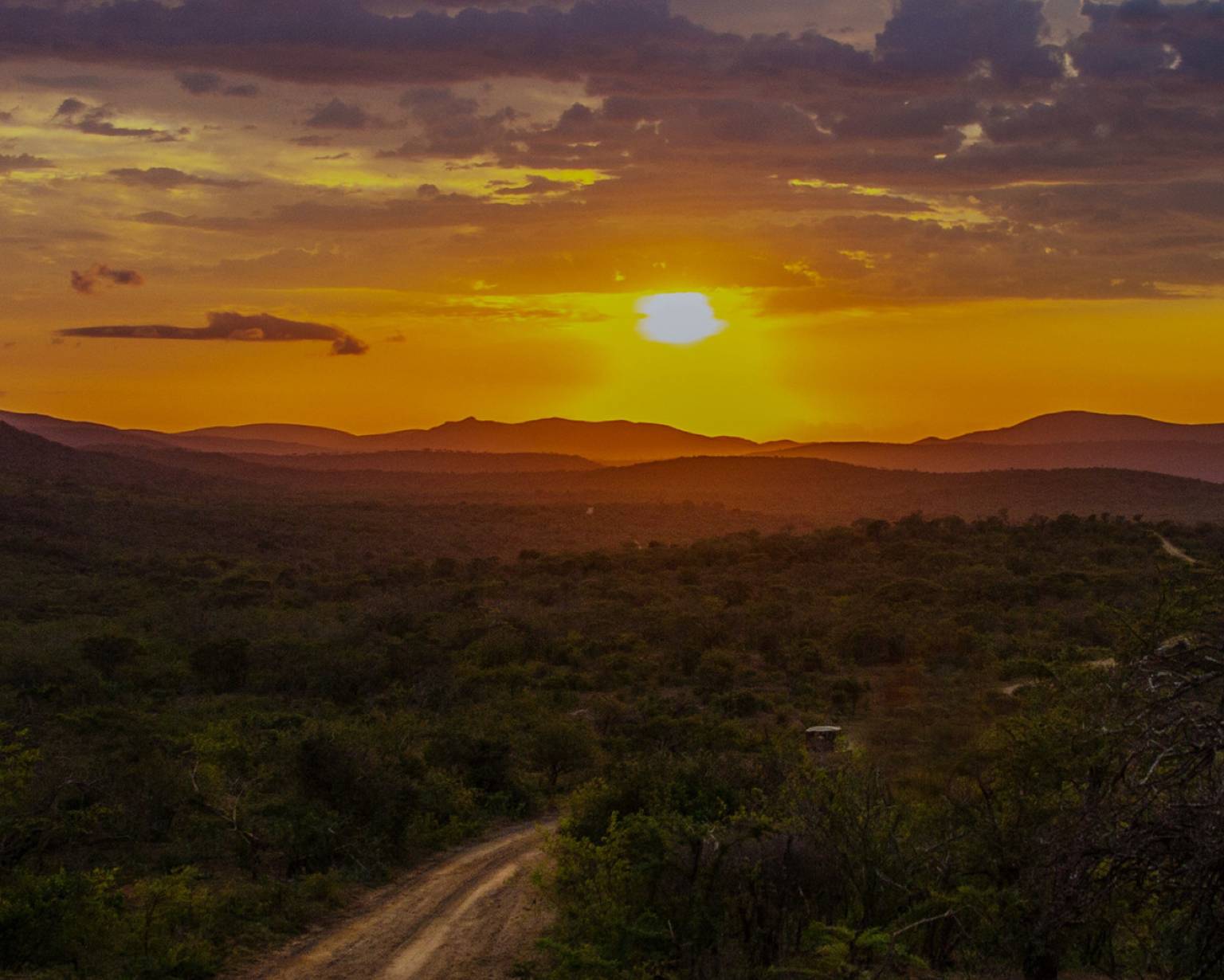 Serengeti Weather Climate All You Need To Know TourRadar