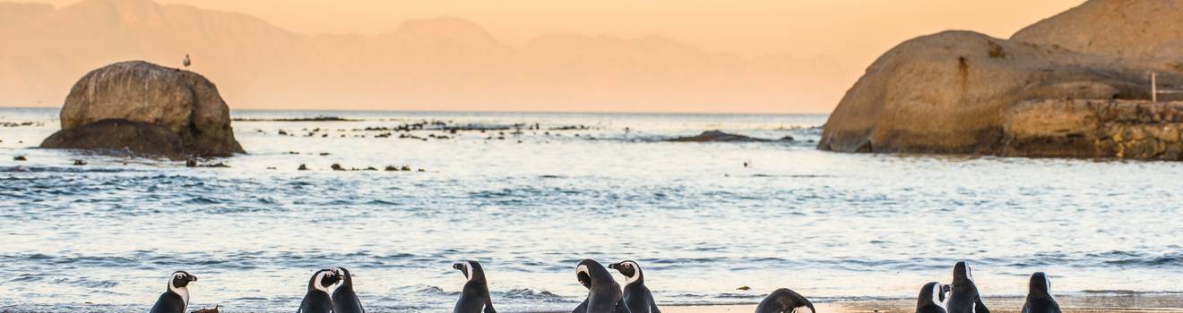 Visitez et découvrez des destinations incroyables