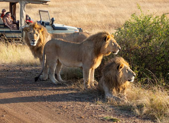 Afrika Reise für Paare