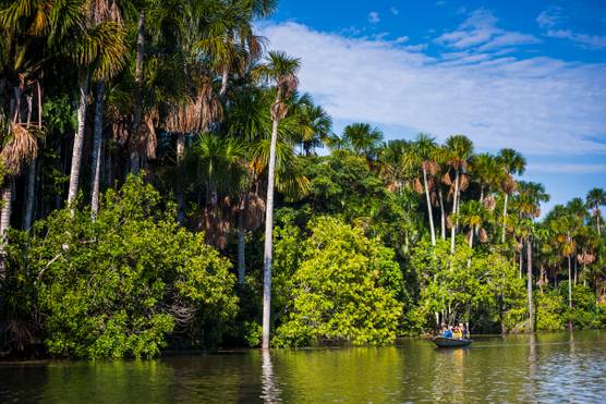 The Peruvian Amazon