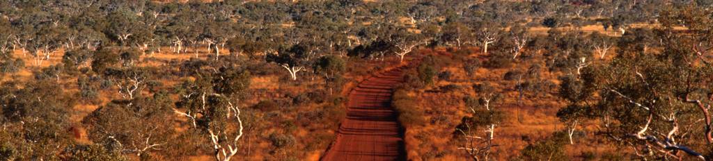Red dirt road in the Australian Outback