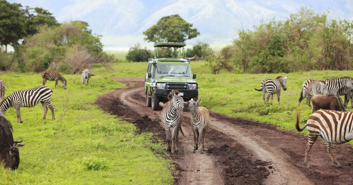 Serengeti Maps: Location, Road & Migration Map - TourRadar