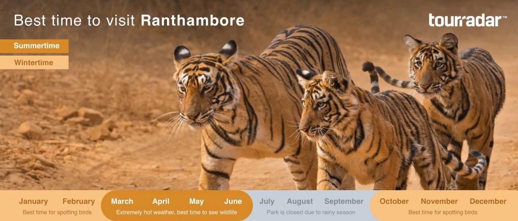 ranthambore national park safari in september