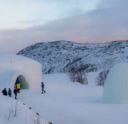 Arctic Circle Travel Guide: Everything You Need to Know - TourRadar