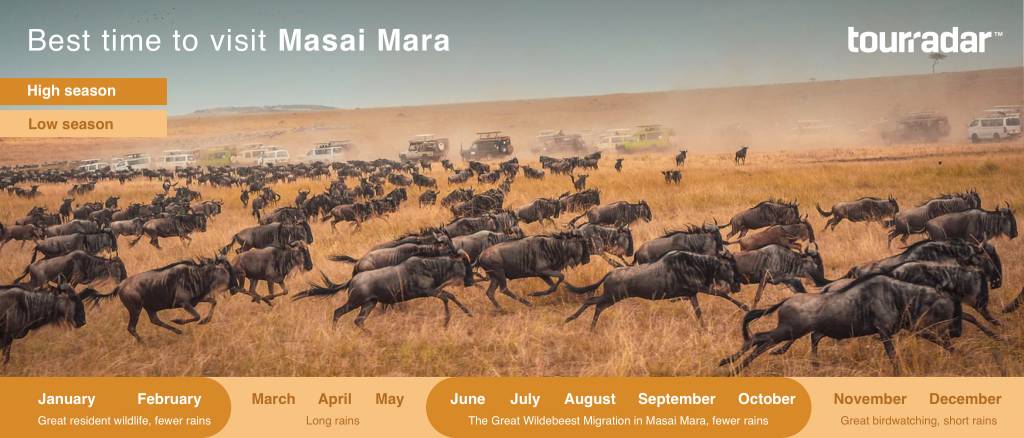 Best Time to Visit Masai Mara: Month by Month Infographic - TourRadar