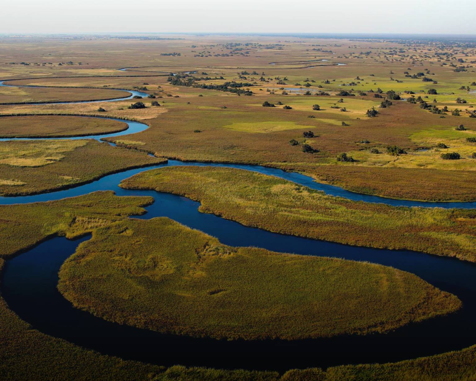 All You Need To Know About Okavango Delta Facts Information Tourradar ...