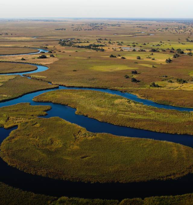 All You Need to Know About Okavango Delta: Facts & Information - TourRadar