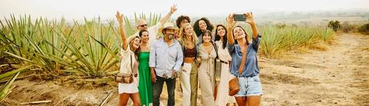 Get an extra $50 off your first booking