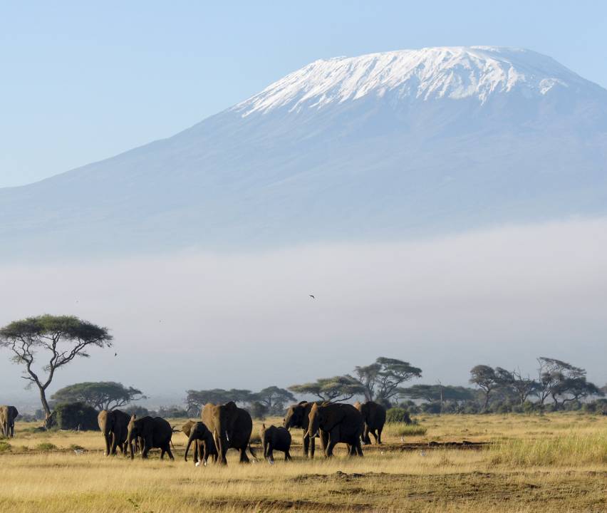 Best Time To Visit Kenya For A Ultimate Safari Experience - Tourradar