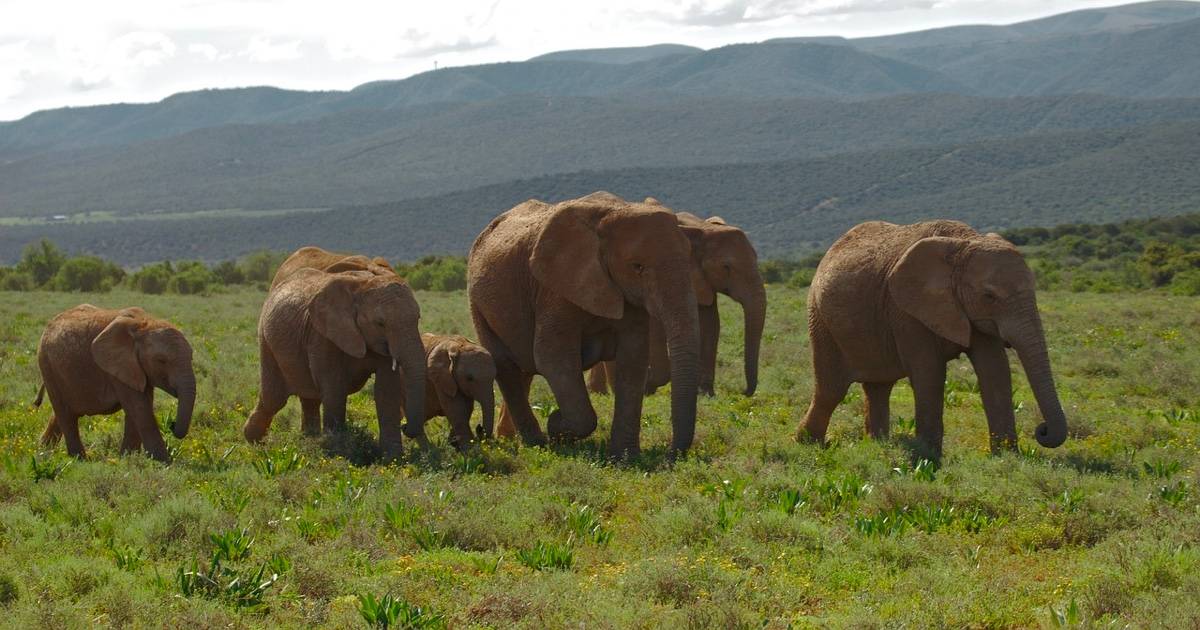 Best Time to Visit South Africa 2026/2027 - TourRadar