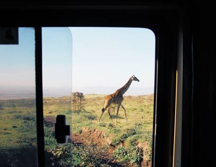 Travel to South Africa in July