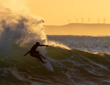 Travel to South Africa in March