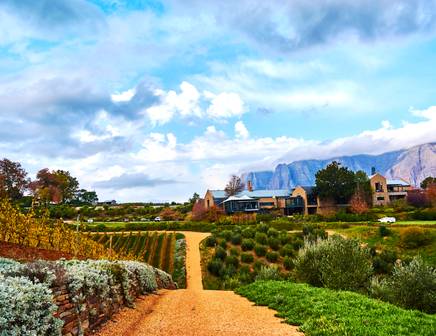 Travel to South Africa in February