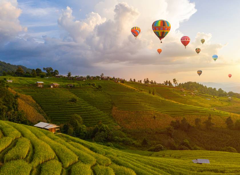 hot air balloons over rice fields in thailand