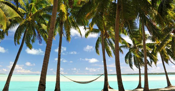 Hammock in the middle of palm trees on the beach