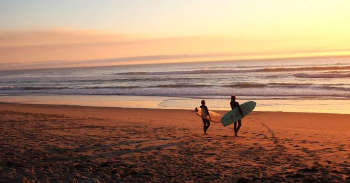 surfers at the beach in australia