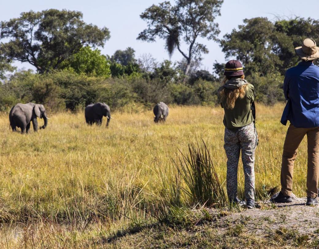 walking safari