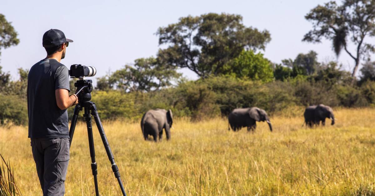 10 Best African Photographic Safaris 2024/2025 Tour Deals & Tips