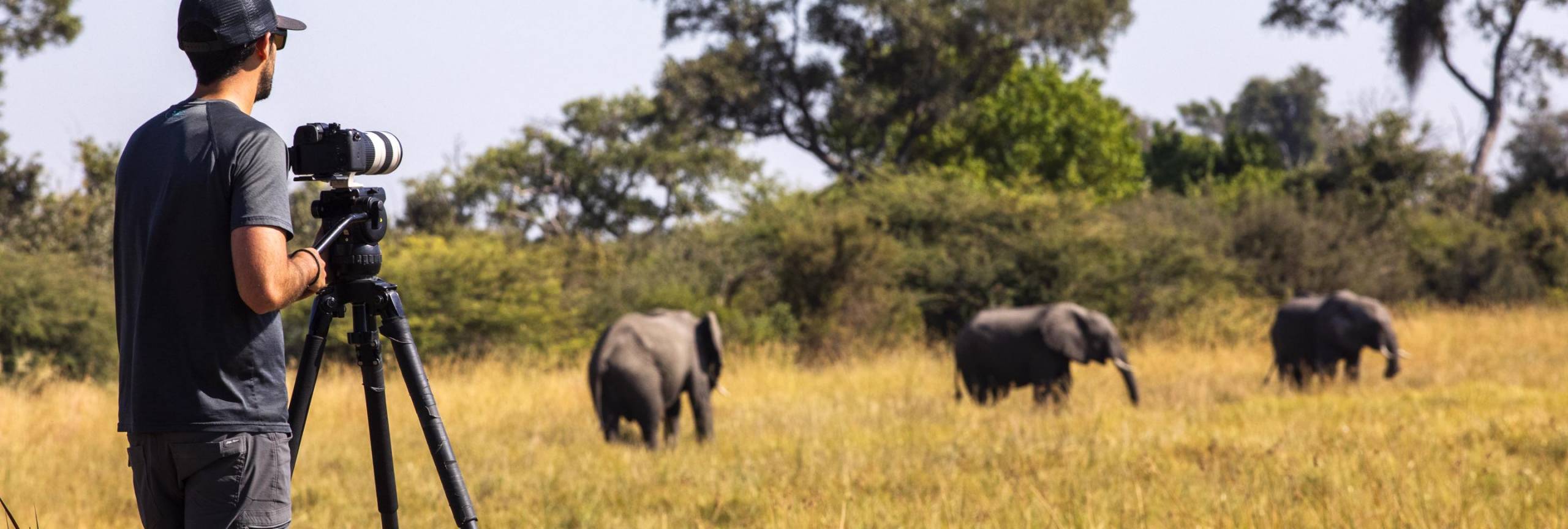 10 Best African Photographic Safaris 2022/2023: Tour Deals & Tips