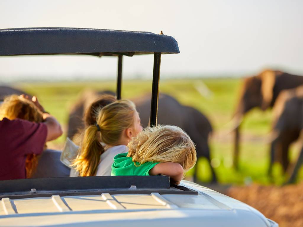 family safari vacation