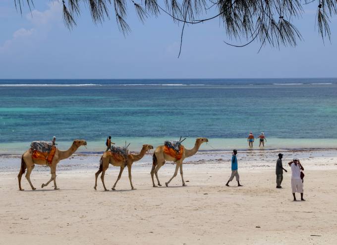 safari and beach holiday